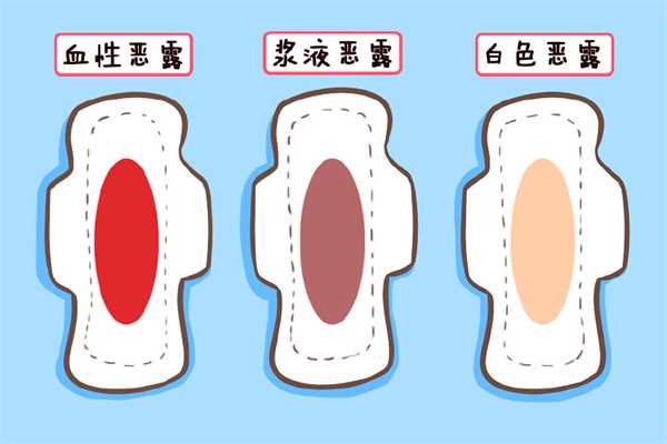中国宝宝奶粉指南：如何选择最适合的奶粉