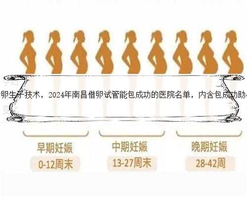 南昌借卵生子技术，2024年南昌借卵试管能包成功的医院名单，内含包成功助孕