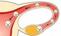 南昌供卵助孕流程~南昌供卵助孕试管，如何缓解妊娠期常见的八种疼痛
