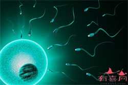 供卵试管条件是什么，试管婴儿中多次检查性激素有哪些意义