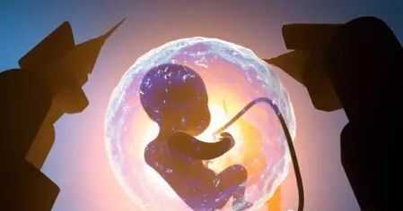 浙江如何借腹怀胎,调查丨试管婴儿诞生40周年 辅助生育技术的喜与忧