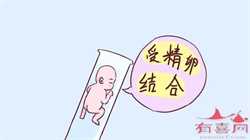 广州代孕价格怎么样，广州捐卵试管代孕医院排名，附捐卵试管费用明细！